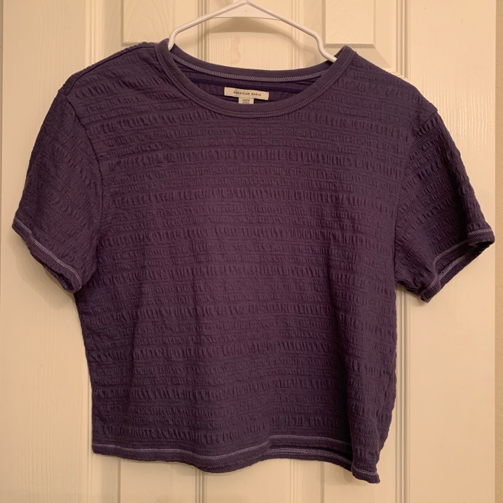 American Eagle Indigo Crop Top
